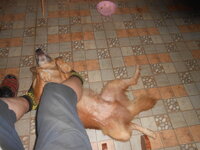 DSCN1949.JPG