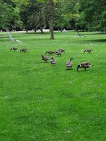 20220709_114204.jpg