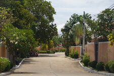 DSC01953.JPG