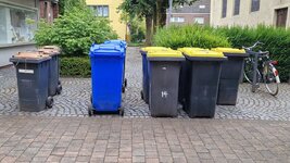 20260819_074116.jpg