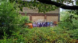 20260819_083059.jpg