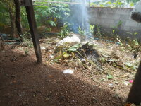 DSCN1662.JPG