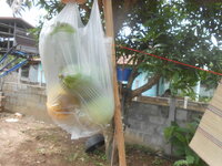 DSCN1679.JPG