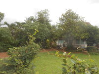 DSCN1671.JPG