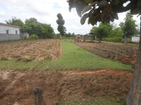 DSCN1670.JPG