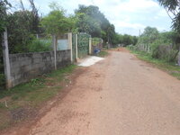 DSCN1688.JPG