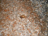 DSCN1762.JPG