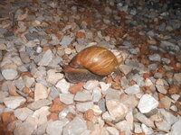 DSCN1763.JPG
