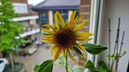 20260821_095102.jpg