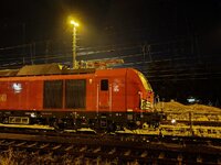 IMG_20260819_010723.jpg