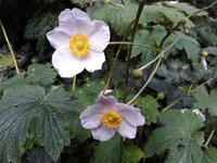 IMG-20251010-WA0049.jpg