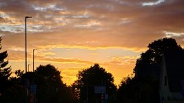 IMG_20260822_201540.jpg