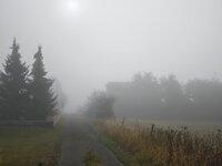 IMG_20260823_083116.jpg