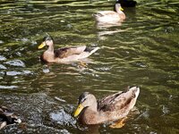 IMG_20260823_200116.jpg