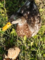 IMG_20260823_200518.jpg