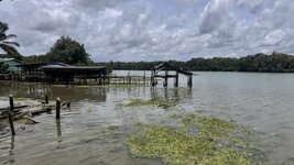 IMG_0737.jpeg