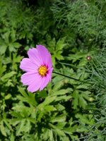 IMG-20260713-WA0015.jpg