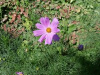 IMG-20260713-WA0016.jpg