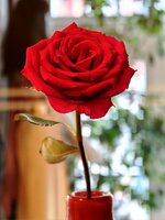 IMG_20260824_113944.jpg