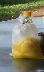 DSCN2022~4.JPG