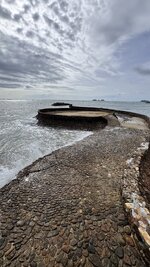 IMG_0768.jpeg