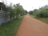 DSCN2003.JPG