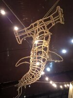 20260823_204102.jpg