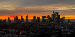 IMG_5555.jpeg
