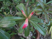 DSCN2186.JPG
