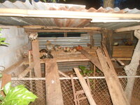 DSCN2110.JPG
