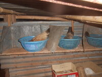 DSCN2109.JPG