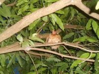 DSCN2107.JPG
