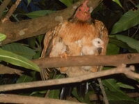 DSCN2108.JPG