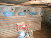 DSCN2043.JPG