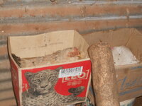DSCN2044.JPG