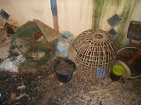 DSCN2115.JPG