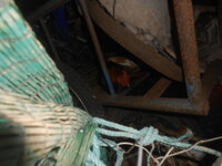 DSCN2119.JPG
