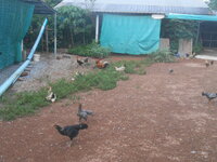 DSCN1923.JPG