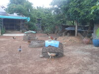 DSCN1924.JPG