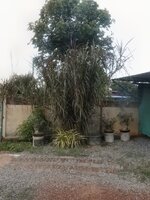 DSCN1921~2.JPG
