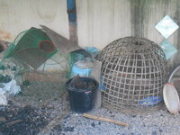 DSCN1925.JPG
