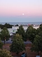 IMG_20260825_203531.jpg