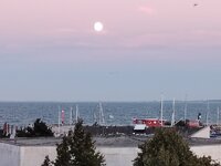 IMG_20260825_203548.jpg
