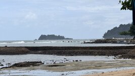 IMG_0924.jpeg