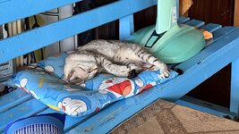 IMG_0854.jpeg