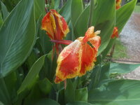 DSCN2292.JPG
