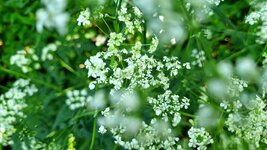 20260507_093609.jpg