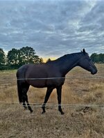 20260823_223511.jpg