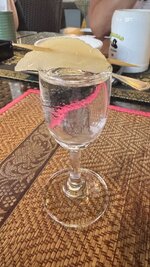 IMG_0944.jpeg