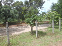 DSCN2285.JPG